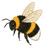 A bumblebee