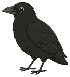 A crow